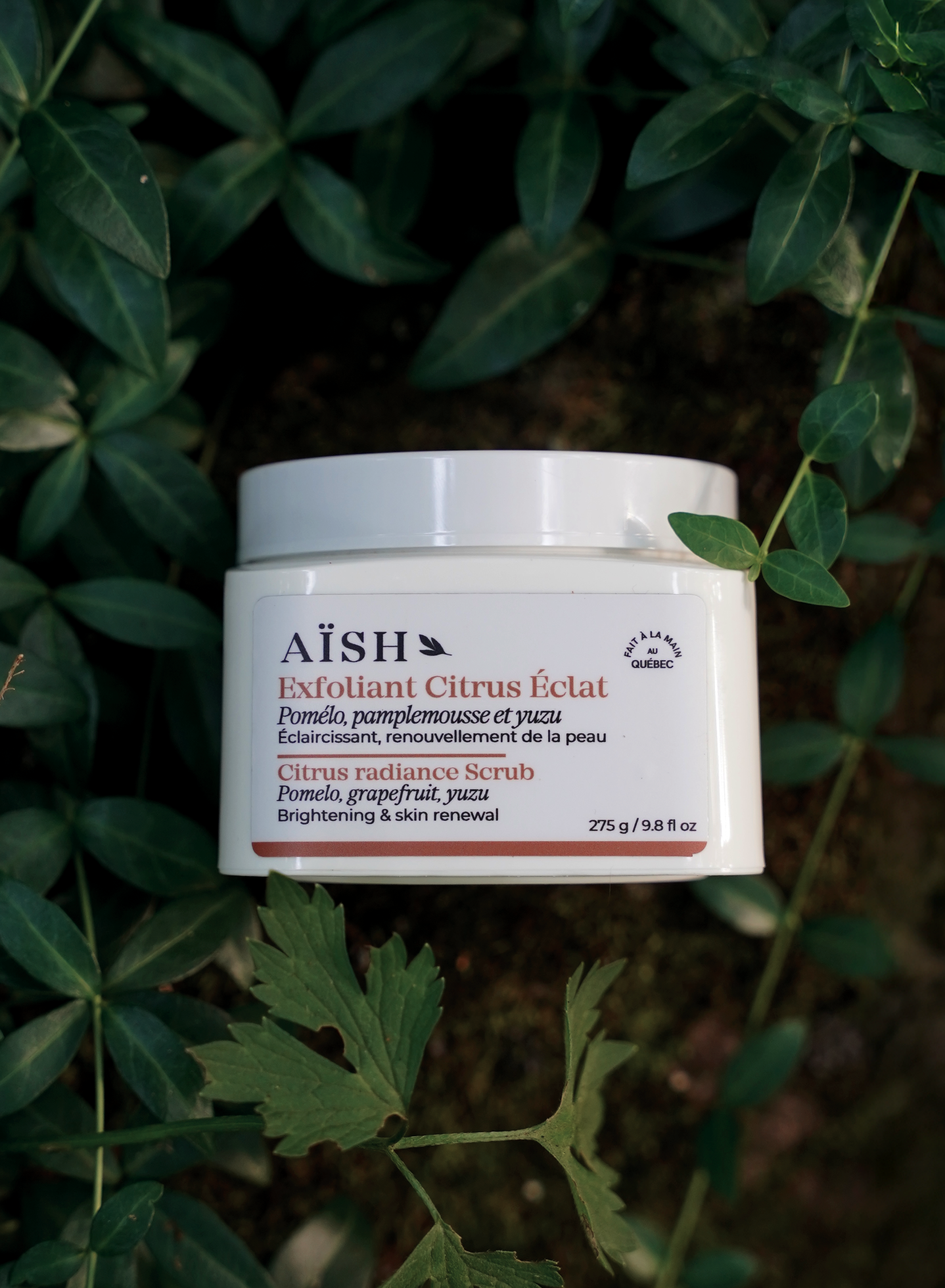 Image de diapositive