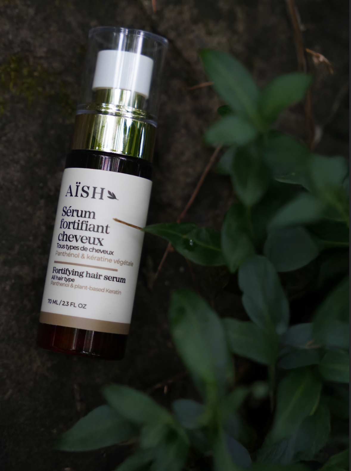 Image de diapositive