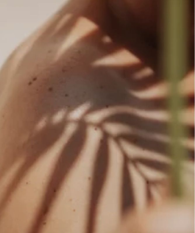 Image de diapositive
