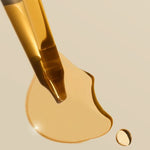 Image de diapositive